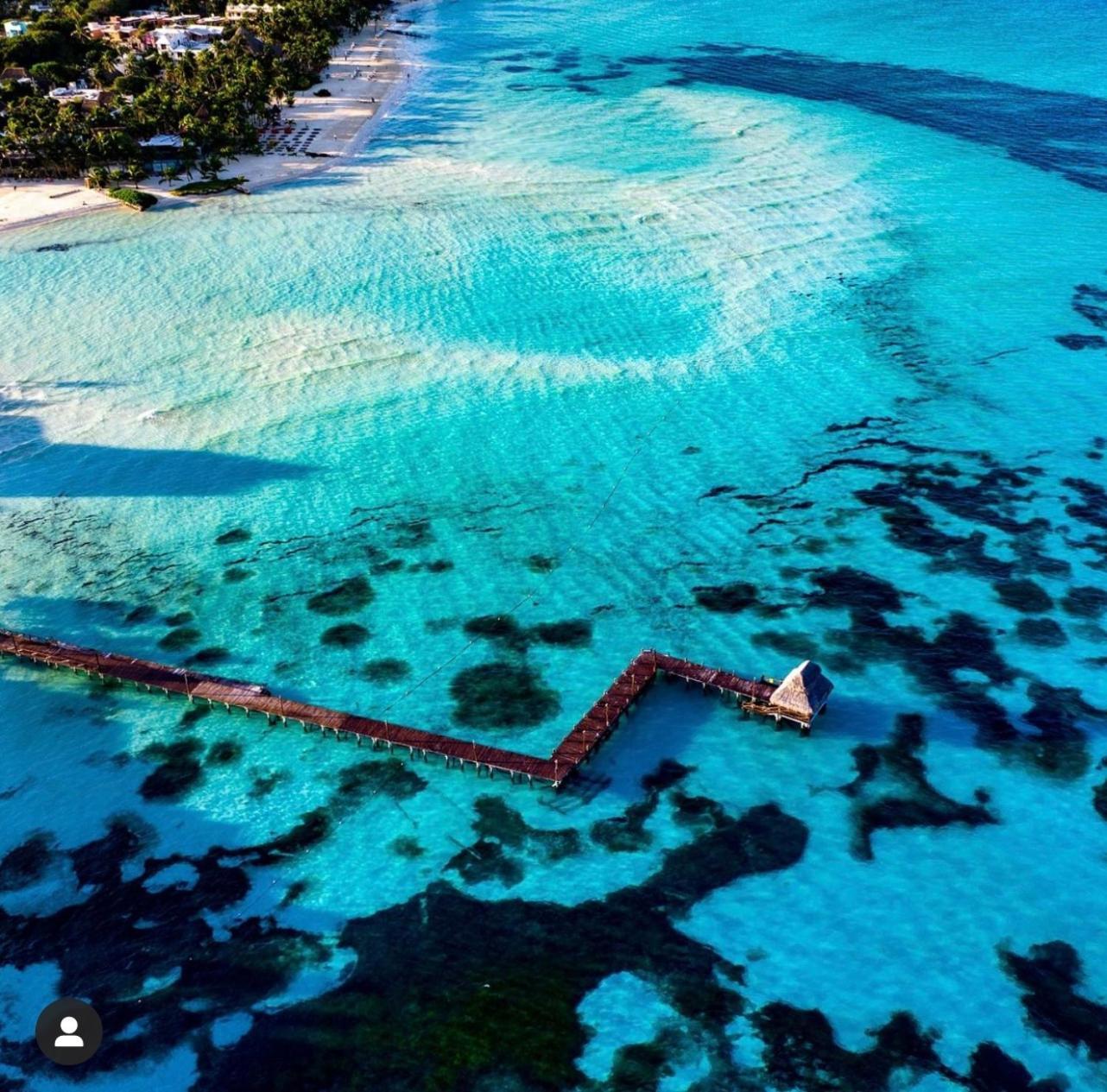 Isla Bonita - Isla Mujeres Centro Lejlighed Eksteriør billede
